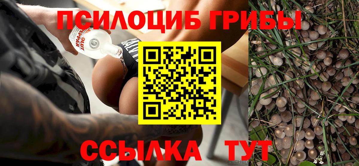 Галлюциногенные грибы ЛСД  купить наркоту  Лабинск  Вход с VPN 