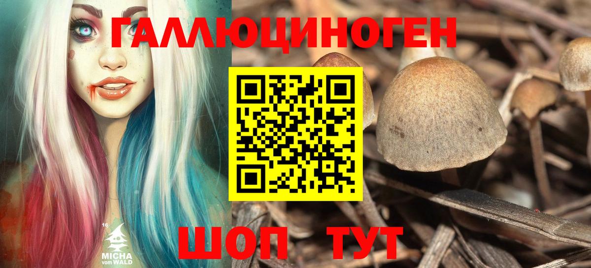 Псилоцибиновые грибы Magic Shrooms Лабинск